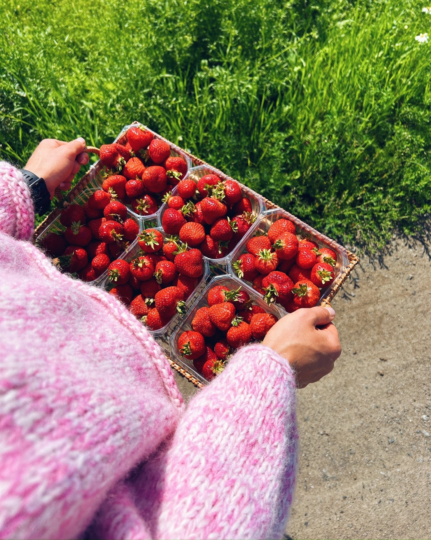 MIDTSOMMER